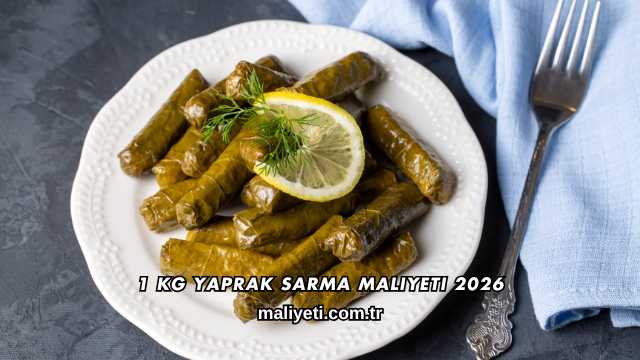 1 kg Yaprak Sarma Maliyeti 2026