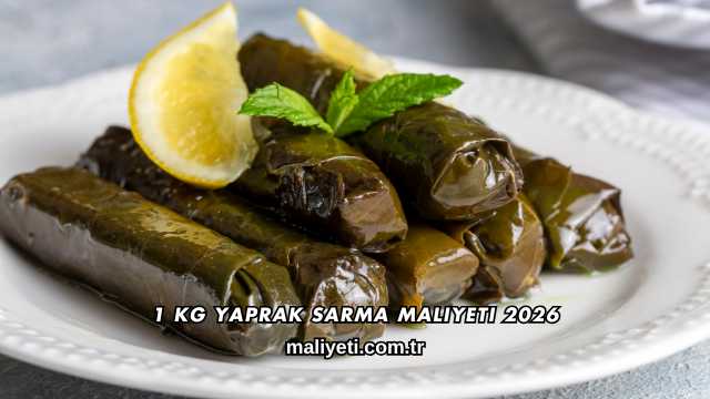 1 kg Yaprak Sarma Maliyeti 2026