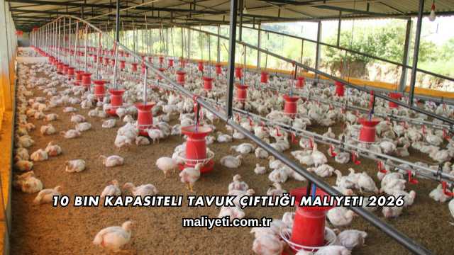 10 Bin Kapasiteli Tavuk Çiftliği Maliyeti 2026