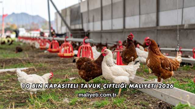 10 Bin Kapasiteli Tavuk Çiftliği Maliyeti 2026