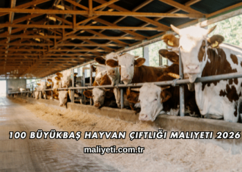 100 Büyükbaş Hayvan Çiftliği Maliyeti 2026