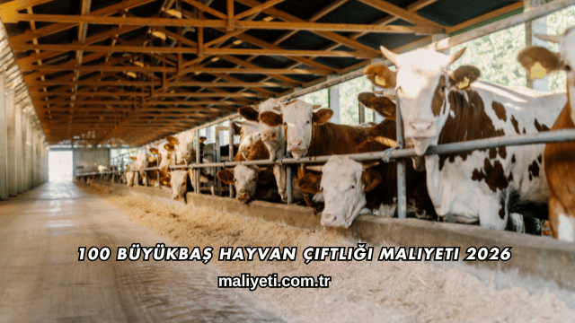 100 Büyükbaş Hayvan Çiftliği Maliyeti 2026