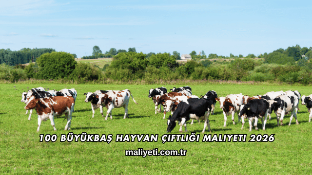 100 Büyükbaş Hayvan Çiftliği Maliyeti 2026