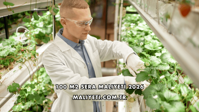 100 m2 Sera Maliyeti 2026