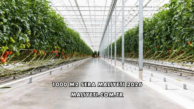 1000 m2 Sera Maliyeti 2026