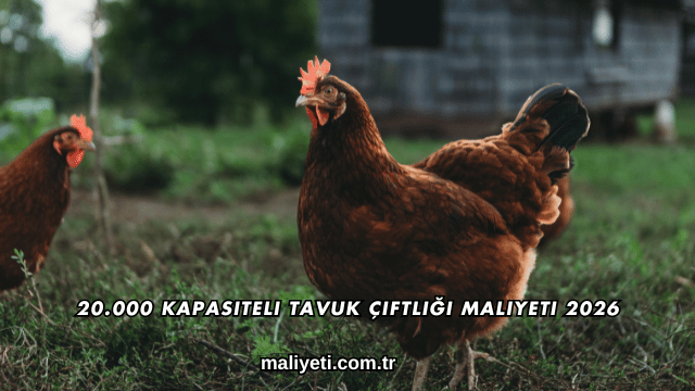 20.000 Kapasiteli Tavuk Çiftliği Maliyeti 2026