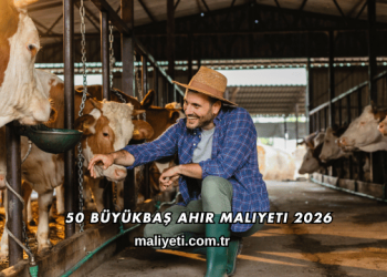 50 Büyükbaş Ahır Maliyeti 2026