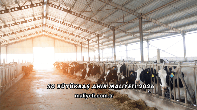 50 Büyükbaş Ahır Maliyeti 2026