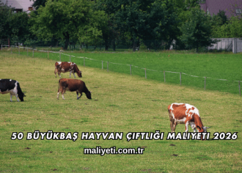 50 Büyükbaş Hayvan Çiftliği Maliyeti 2026