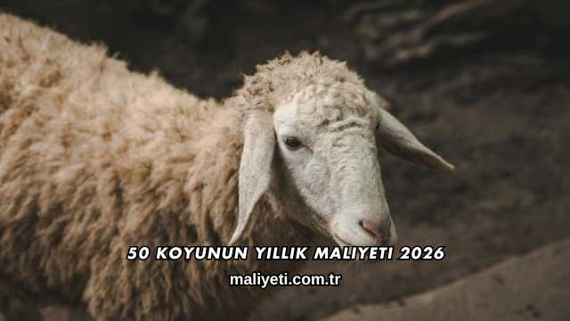 50 Koyunun Yıllık Maliyeti 2026