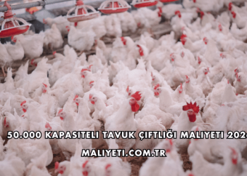 50.000 Kapasiteli Tavuk Çiftliği Maliyeti 2026