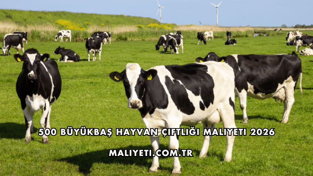 500 Büyükbaş Hayvan Çiftliği Maliyeti 2026