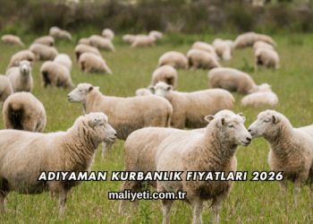 Adıyaman Kurbanlık Fiyatları 2026