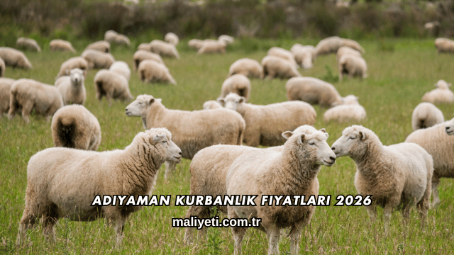 Adıyaman Kurbanlık Fiyatları 2026