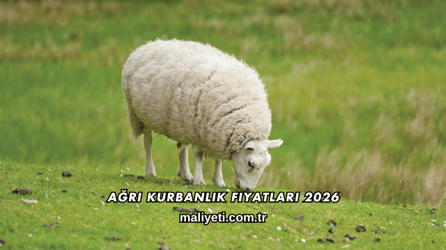 Ağrı Kurbanlık Fiyatları 2026