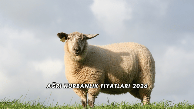 Ağrı Kurbanlık Fiyatları 2026