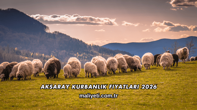 Aksaray Kurbanlık Fiyatları 2026