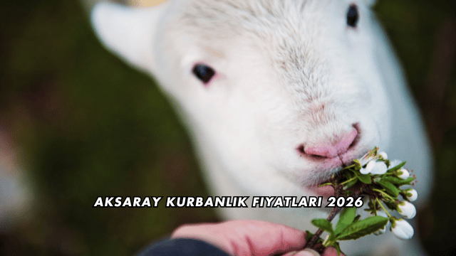 Aksaray Kurbanlık Fiyatları 2026