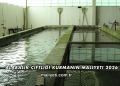 Alabalık Çiftliği Kurmanın Maliyeti 2026