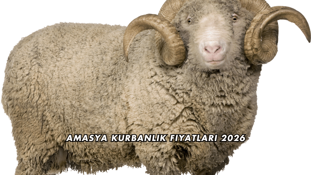 Amasya Kurbanlık Fiyatları 2026