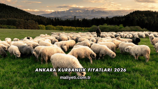 Ankara Kurbanlık Fiyatları 2026
