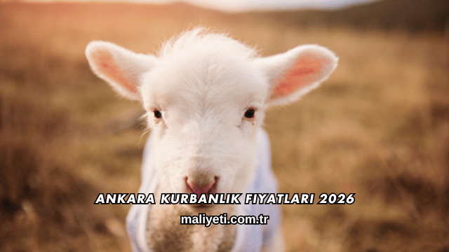 Ankara Kurbanlık Fiyatları 2026
