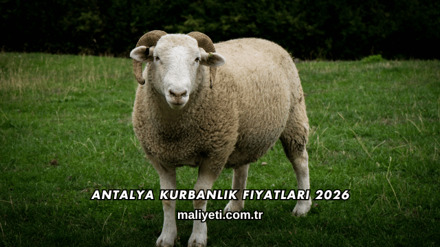 Antalya Kurbanlık Fiyatları 2026