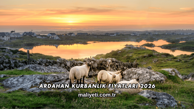 Ardahan Kurbanlık Fiyatları 2026