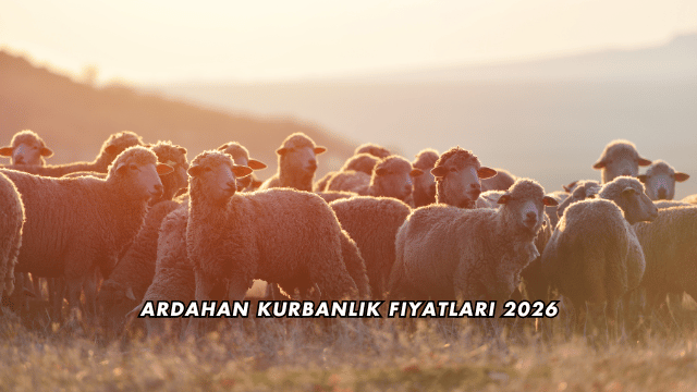 Ardahan Kurbanlık Fiyatları 2026
