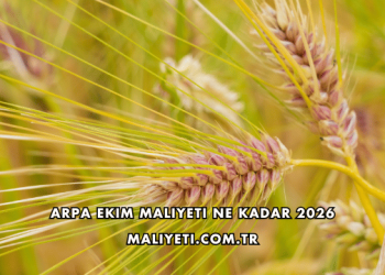 Arpa Ekim Maliyeti Ne Kadar 2026