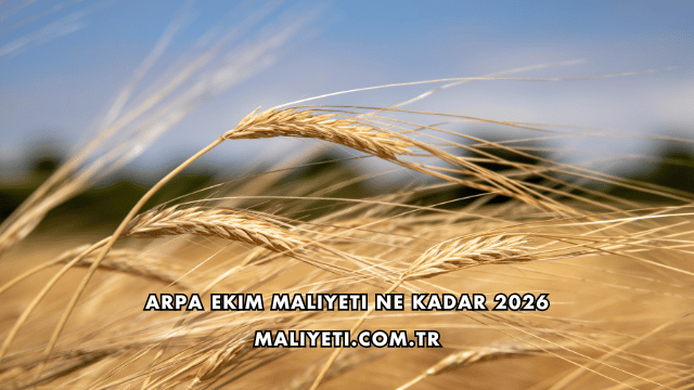 Arpa Ekim Maliyeti Ne Kadar 2026
