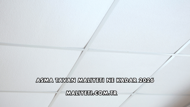 Asma Tavan Maliyeti Ne Kadar 2026