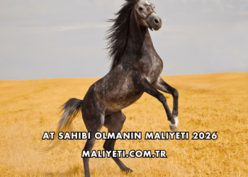At Sahibi Olmanın Maliyeti 2026