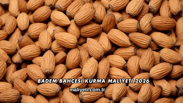 Badem Bahçesi Kurma Maliyeti 2026