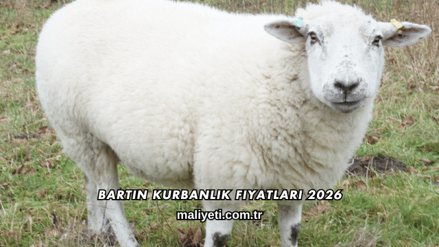 Bartın Kurbanlık Fiyatları 2026