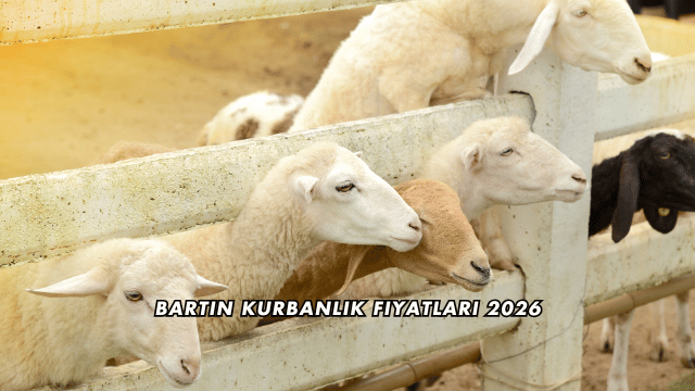 Bartın Kurbanlık Fiyatları 2026