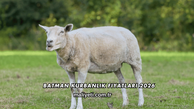 Batman Kurbanlık Fiyatları 2026
