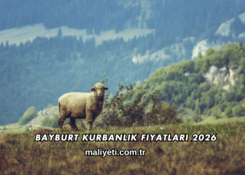 Bayburt Kurbanlık Fiyatları 2026