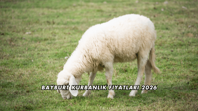Bayburt Kurbanlık Fiyatları 2026