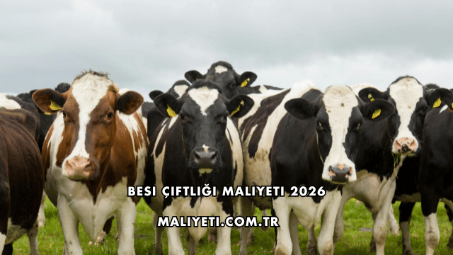 Besi Çiftliği Maliyeti 2026