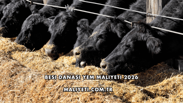 Besi Danası Yem Maliyeti 2026