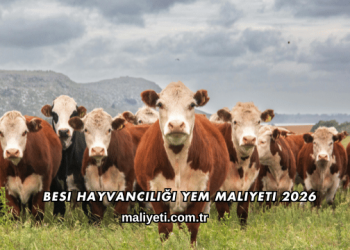 Besi Hayvancılığı Yem Maliyeti 2026