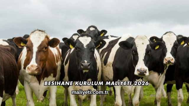 Besihane Kurulum Maliyeti 2026