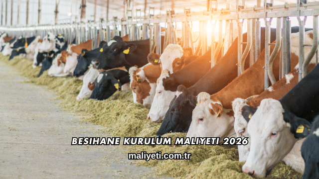 Besihane Kurulum Maliyeti 2026