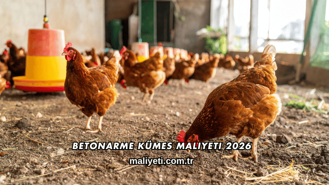 Betonarme Kümes Maliyeti 2026