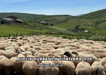 Bilecik Kurbanlık Fiyatları 2026