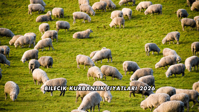 Bilecik Kurbanlık Fiyatları 2026