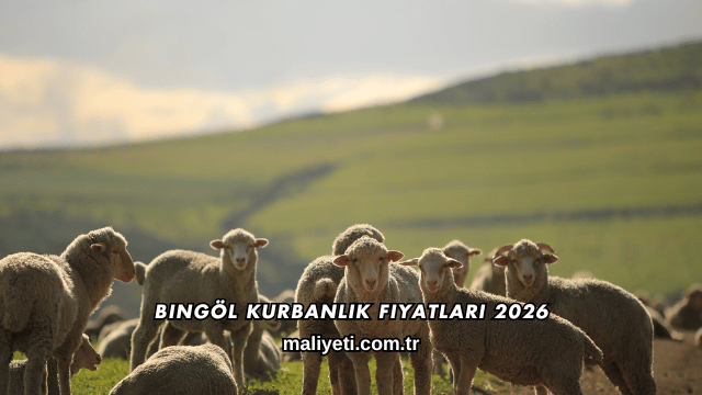 Bingöl Kurbanlık Fiyatları 2026
