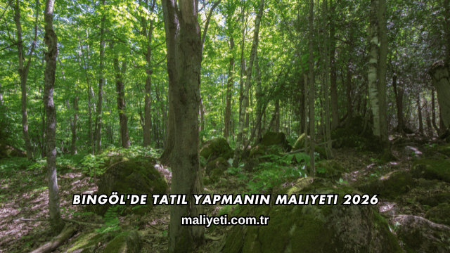 Bingöl'de Tatil Yapmanın Maliyeti 2026