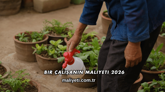 Bir Çalışanın Maliyeti 2026